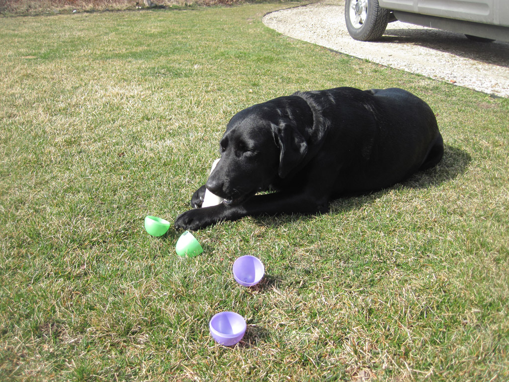 sirzy-easter-2