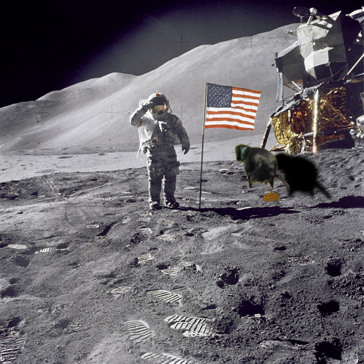 Sirzy on the Moon Sirzy on the Moon